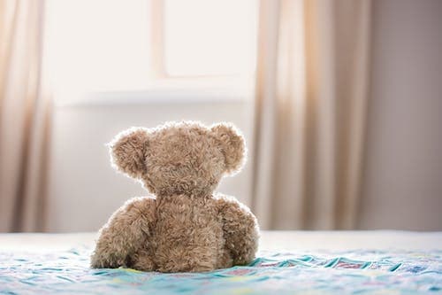 Teddy is Going to School